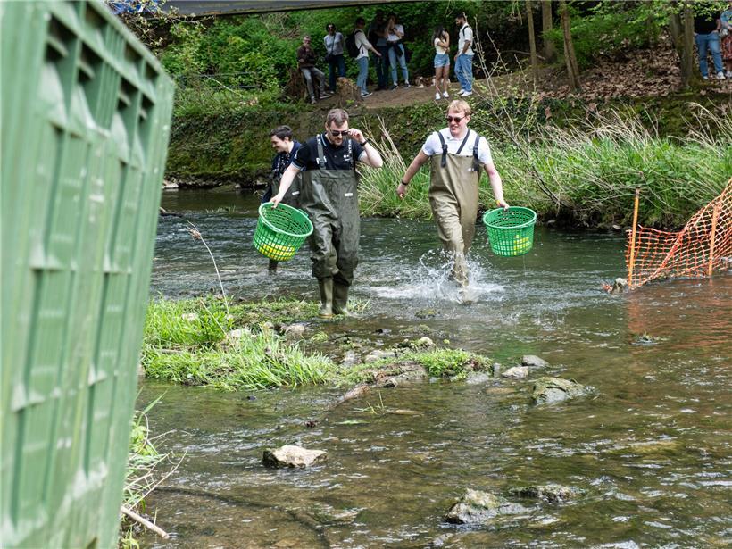 Team jagt entschlossen Enten nach, um keine zu verlieren – Engagement und Teamarbeit bei der Entensuche