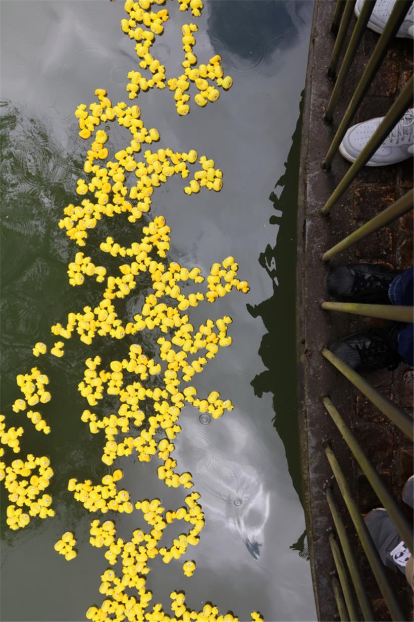 Wer am Ende wohl das Rennen macht?