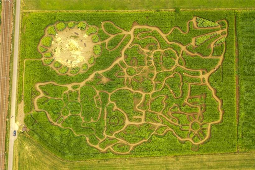 Wer einen kleinen Cheat-Code braucht: So sieht das Feld von oben aus
