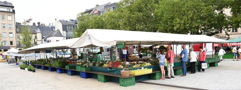 Wer lokal und saisonal einkaufen will, findet auf dem Markt in der Oberstadt ein...