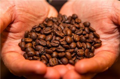 Wetterkatastrophen sorgen für Ernteausfälle – und die wiederum für höhere Preise
