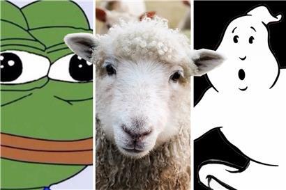 Who you gonna call a „sheeple“?
