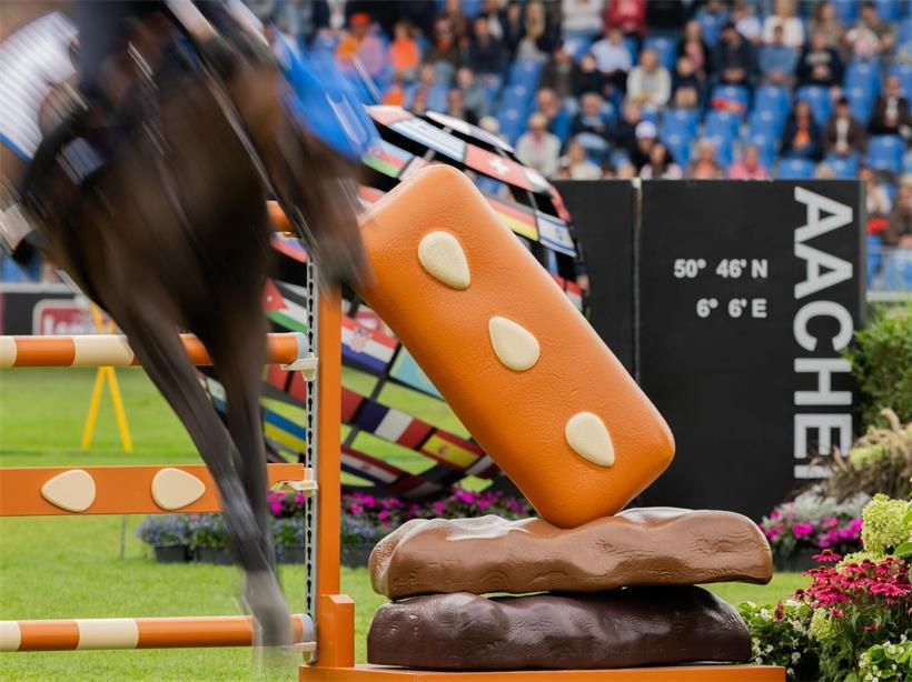 Wie gesund und vernünftig ist Reitsport für das Tier?