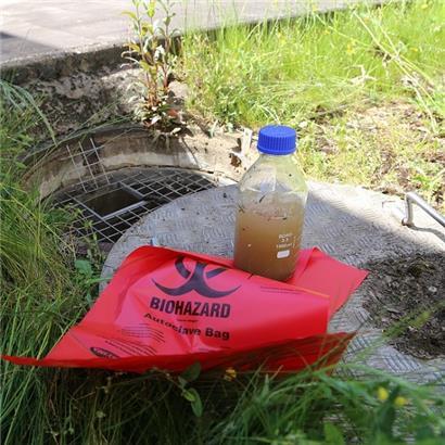 Wie stark das Coronavirus in der Bevölkerung verbreitet ist, lässt sich auch am Abwasser nachvollziehen
