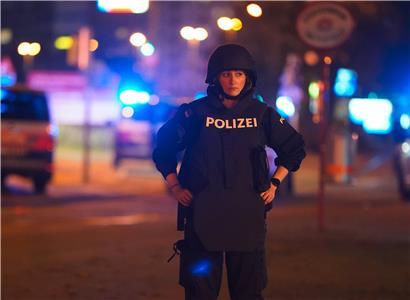 Wien unter Schock: In sozialen Medien kursierten mehrere Videos, die wild um sich schießende Männer zeigen
