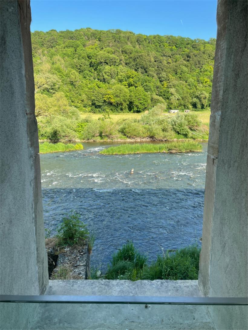 „Wilde“ Sauer unterhalb der Mühle