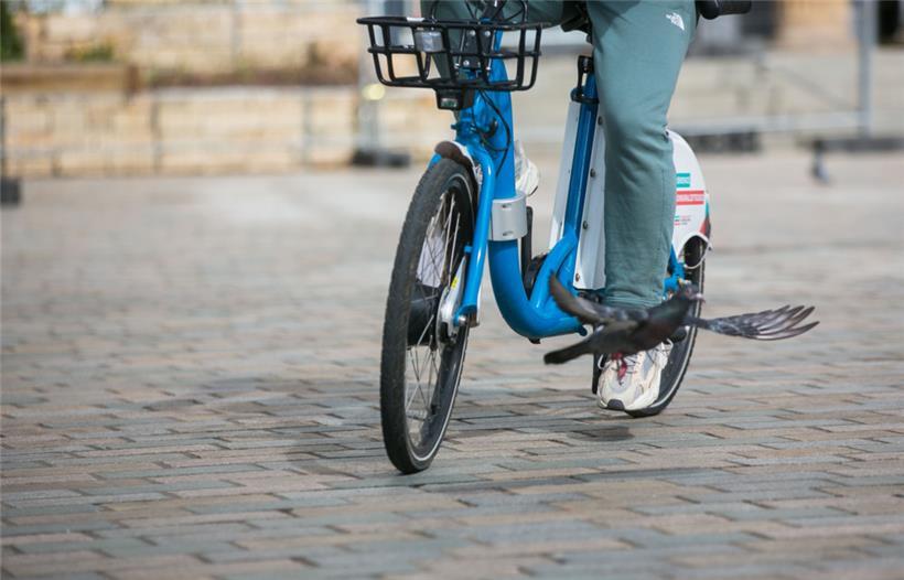 Willst du eine Reise tun, dann verzichte auf Leihräder – so die Erfahrung des Reporters am vergangenen Mittwoch
