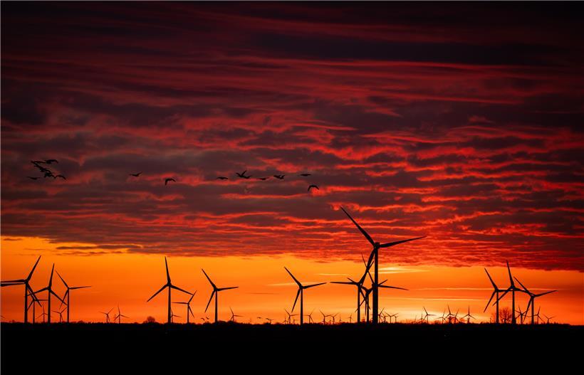 Windkraftanlagen stehen in einem Windpark im Sönke-Nissen-Koog an der Nordsee im Sonnenaufgang
