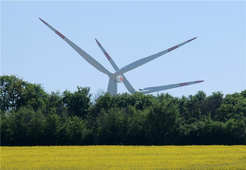 Windräder stehen hinter einem Wäldchen und einem blühenden Rapsfeld. 
