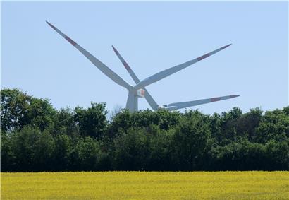 Windräder stehen hinter einem Wäldchen und einem blühenden Rapsfeld. 
