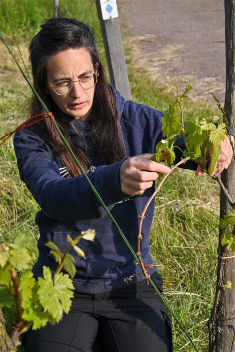 Winzerin Corinne Kox
