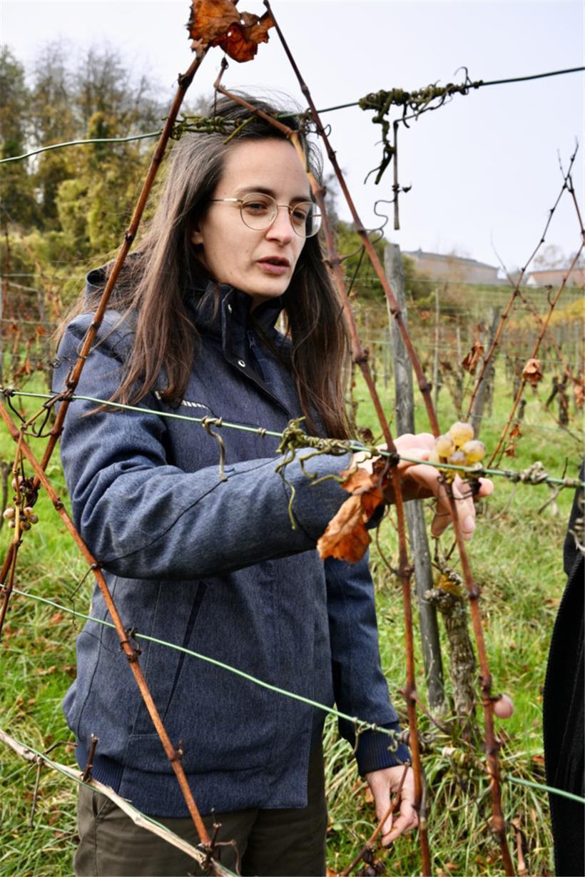 Winzerin Corinne Kox
