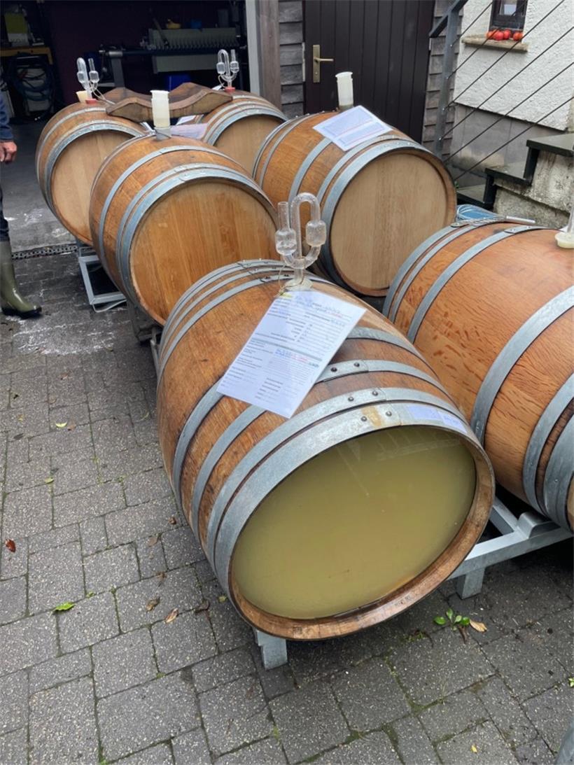 Wir hatten genug Most, um sogar einen Teil ins Holzfass abzufüllen