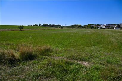 Wo aktuell noch Felder und Wiesen die Landschaft bestimmen, soll in Zukunft ein neues Wohnviertel heranwachsen 
