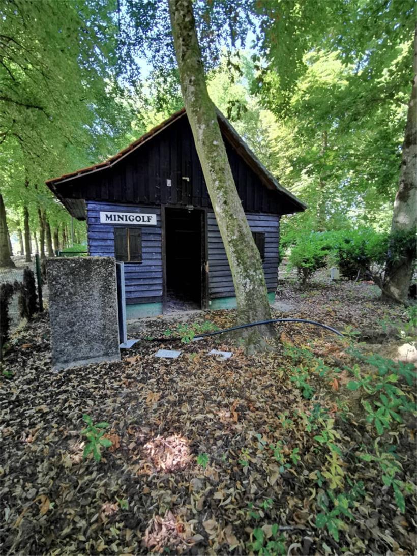 Wo vor den Fluten Minigolf gespielt wurde, breitet sich die Vegetation jetzt wild aus
