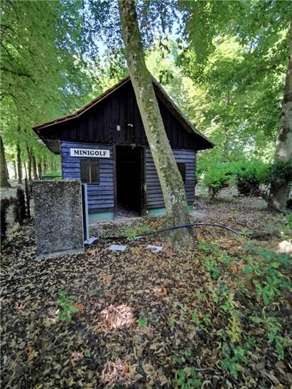 Wo vor den Fluten Minigolf gespielt wurde, breitet sich die Vegetation jetzt wild aus
