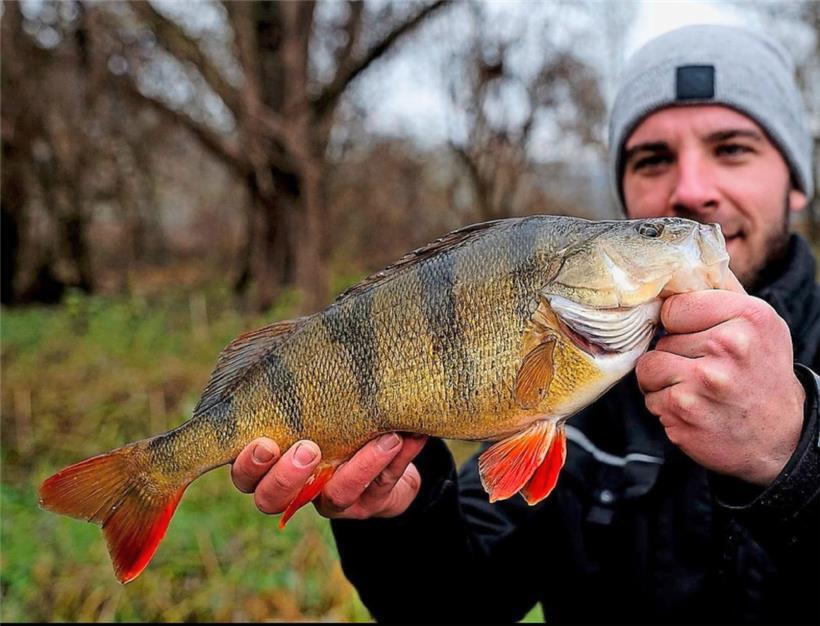 Yannik Marquordt mit einem Prachtexemplar
