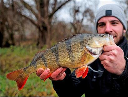 Yannik Marquordt mit einem Prachtexemplar
