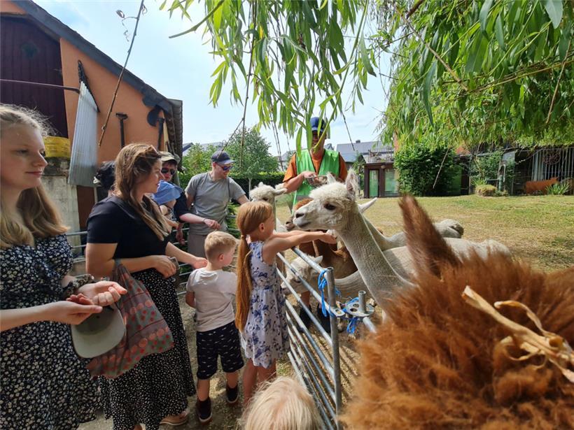 Zahlreiche Familien und Schaulustige fanden am Samstag den Weg nach Hovelingen
