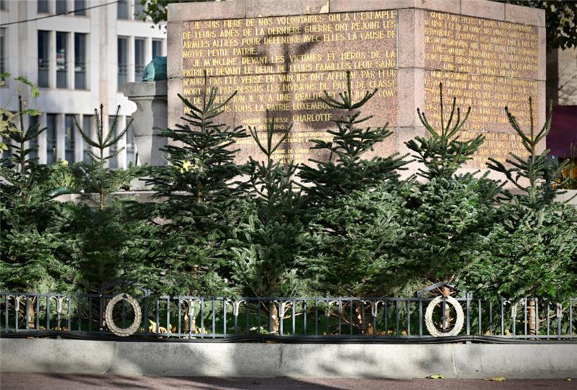 Zu Füßen der „Gëlle Fra“ wurden am Freitag kleine Nadelbäume aufgestellt