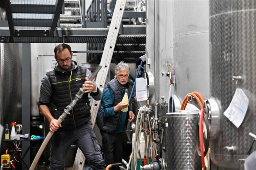 Zum Abschluss hat Winzer Laurent Kox uns noch eine Flasche aus 11 Prozent Barrique und 89 Prozent Edelstahlfass zusammengestellt
