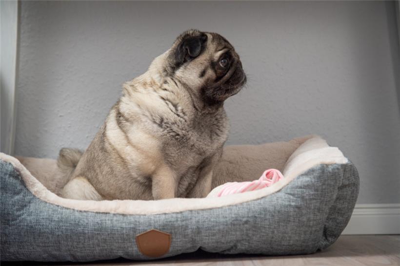 Zum Glück hatte da jemand den richtigen Riecher
