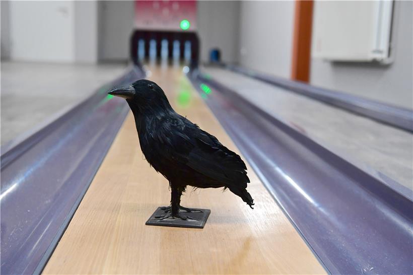 Zum Kegelspiel hat der „Kueb“ ein inniges Verhältnis. 1969 wurde die erste Bahn ...