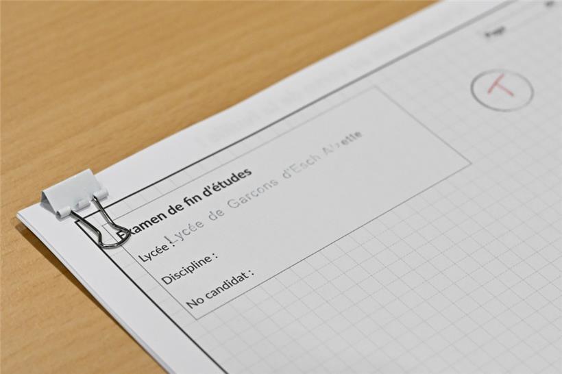 Zunächst noch leer, brachten die Schülerinnen und Schüler ihr Wissen zu Papier