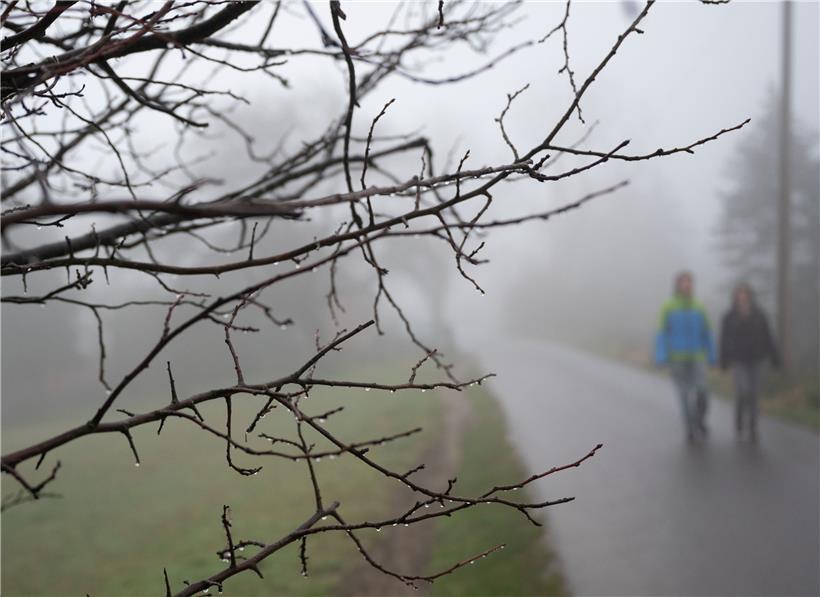 Zwei Spaziergänger gehen bei Nieselregen und Nebel auf einer Straße entlang
