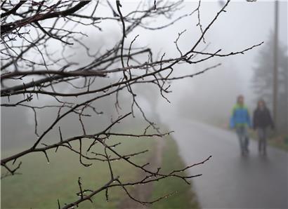 Zwei Spaziergänger gehen bei Nieselregen und Nebel auf einer Straße entlang
