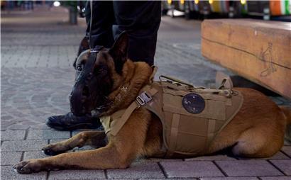 Zwei der Security-Teams, die derzeit in Luxemburg patrouillieren, haben jeweils einen Hund dabei

