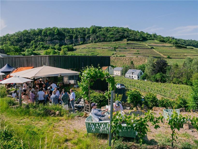 Stadtbesichtigung kombiniert mit Weinverkostung im entspannten Ambiente eines Weinguts