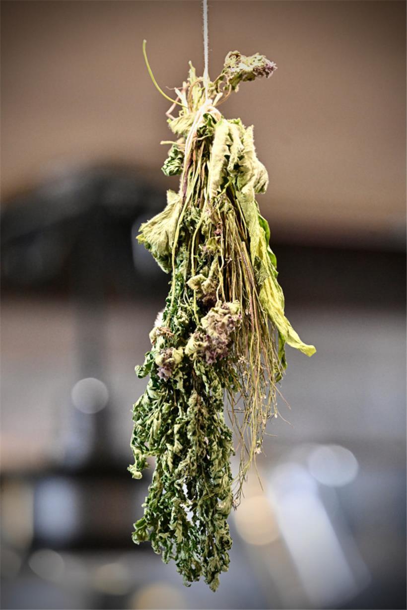 Zwischen dem Küchenbereich und dem Speisesaal hängen getrocknete Kräuter
