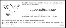 Anzeige