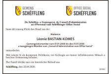 Anzeige