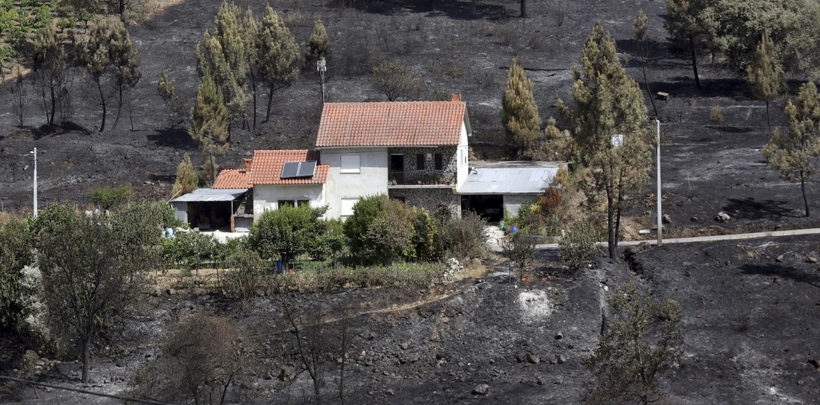 Waldbrände zerstören 62.000 Hektar Land