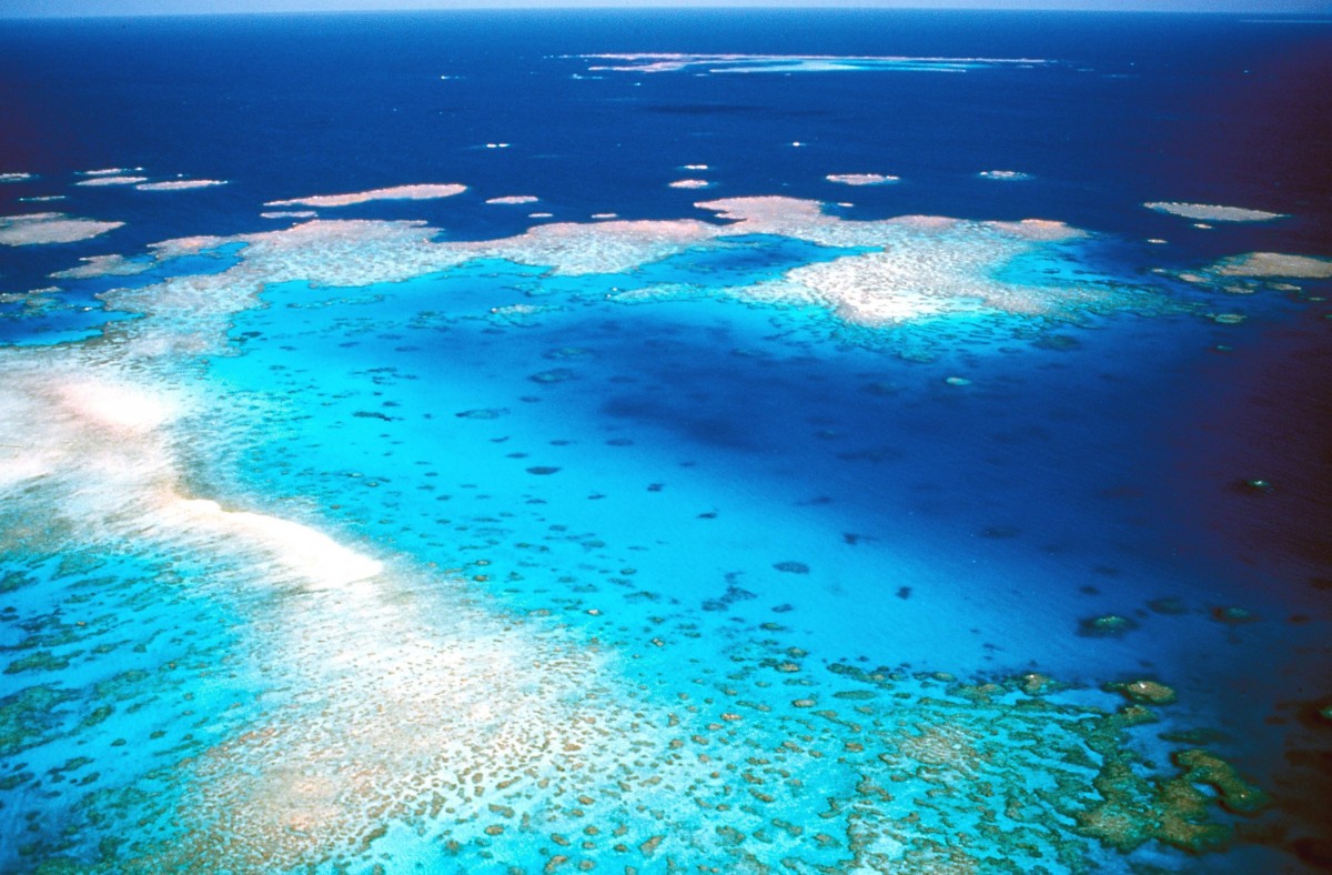 Great Barrier Reef nicht auf Rote Liste