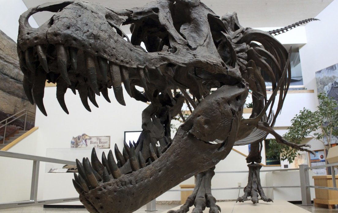 Ruß trug zum Massensterben von Dinosauriern bei