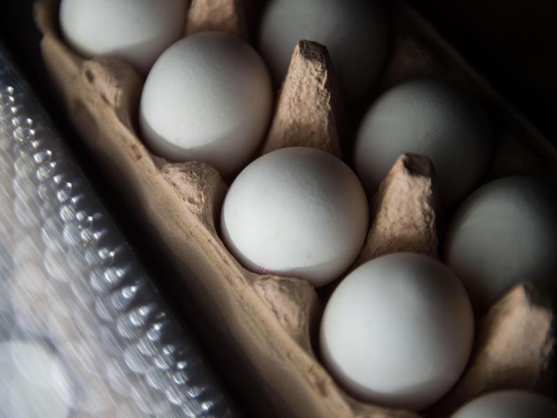 EU-Kommission: Erste Fipronil-Eier bereits vor einem Jahr