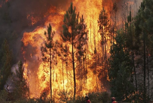 Waldbrand führt zu Bahnchaos in Südfrankreich