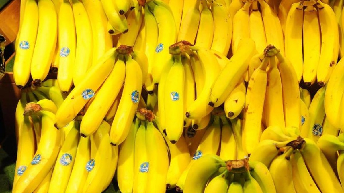 Deutschland: Kokain zwischen Supermarkt-Bananen