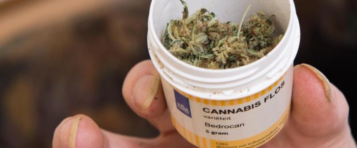 Marihuana als Heilpflanze in Luxemburg?