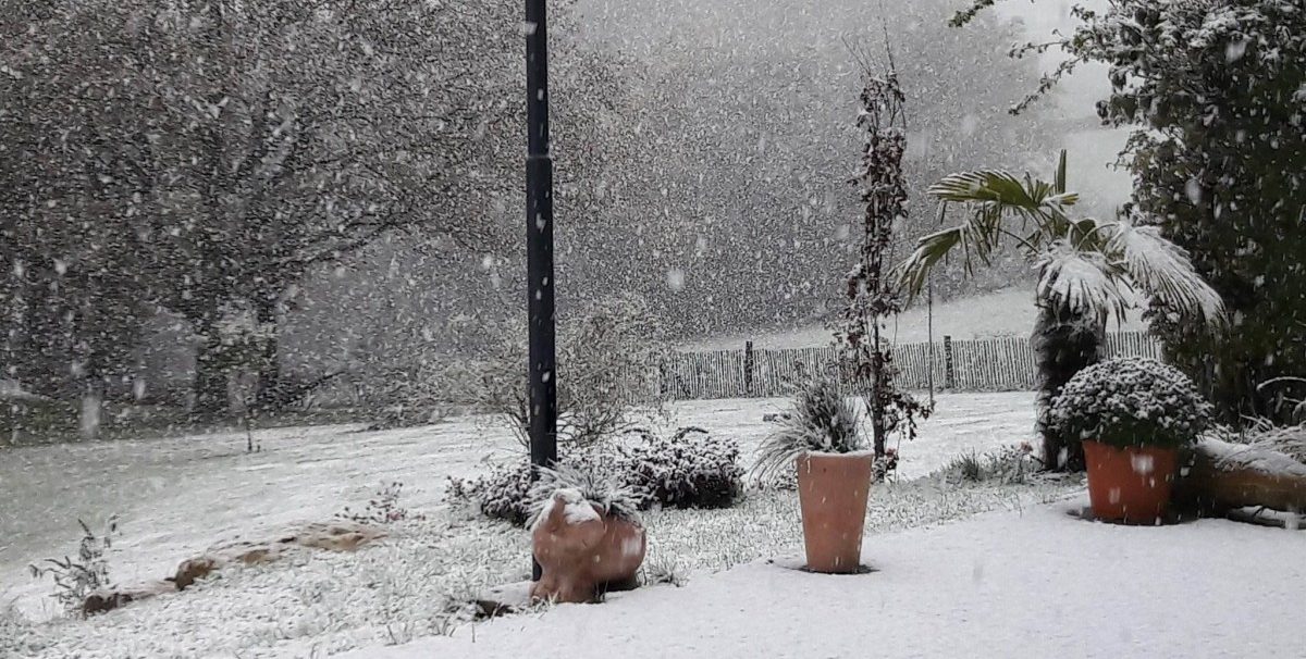 Erster Schnee – In Luxemburg fallen die Flocken