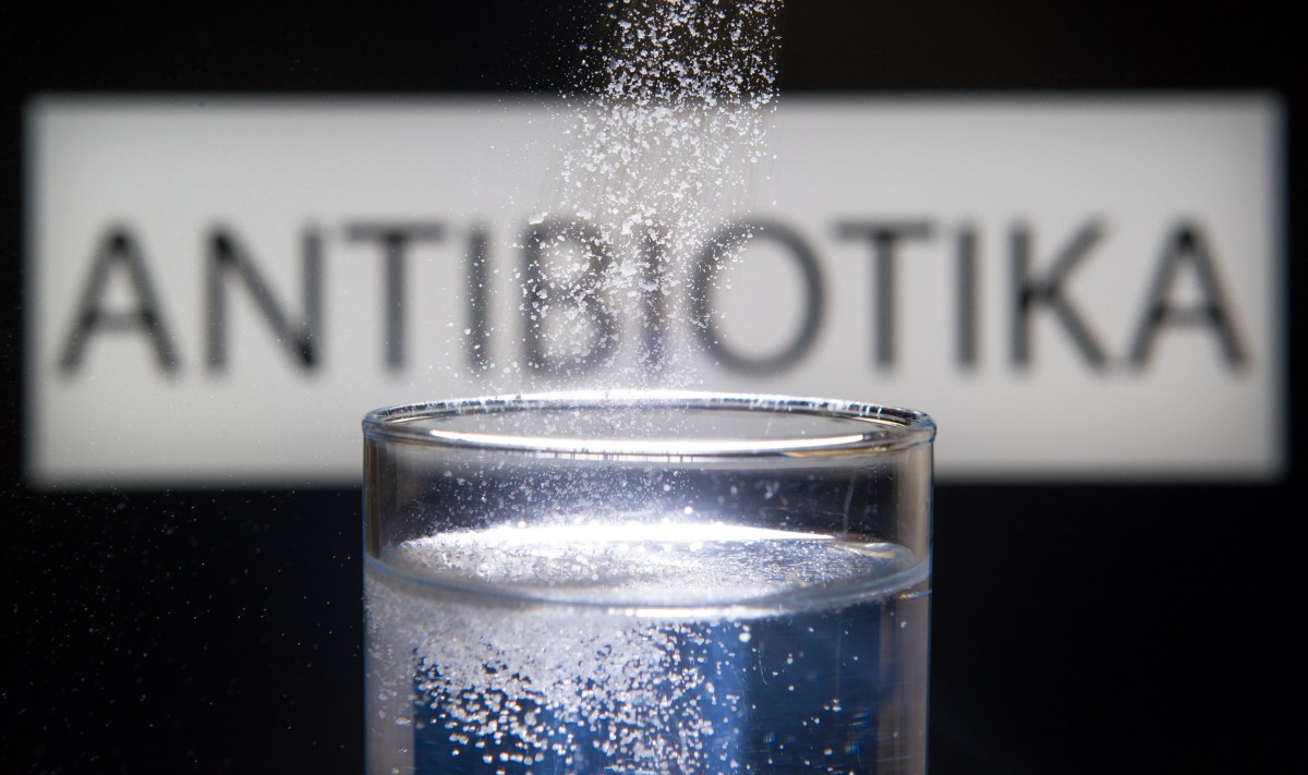 Arzneicocktail im Abwasser könnte Insekten bedrohen