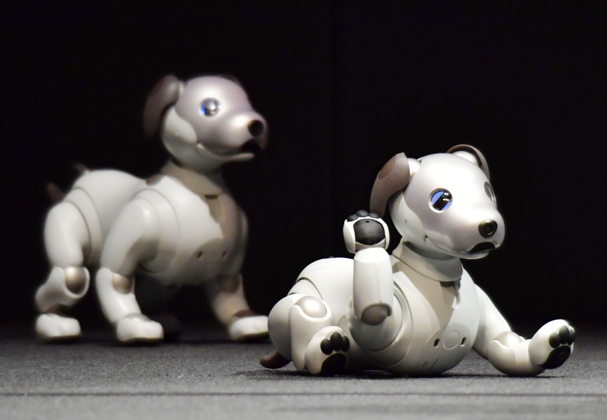 Sony bringt Roboterhund Aibo zurück