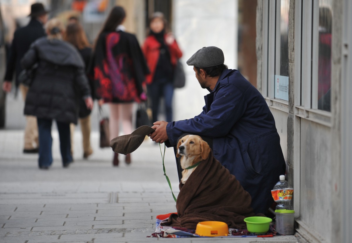 Petition will Obdachlosen das Betteln mit Hunden verbieten