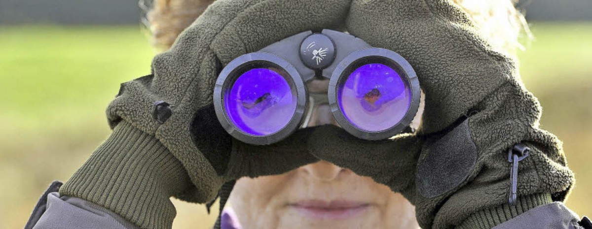 Wer hat den Buntspecht gesehen? Luxemburg zählt seine Wintervögel