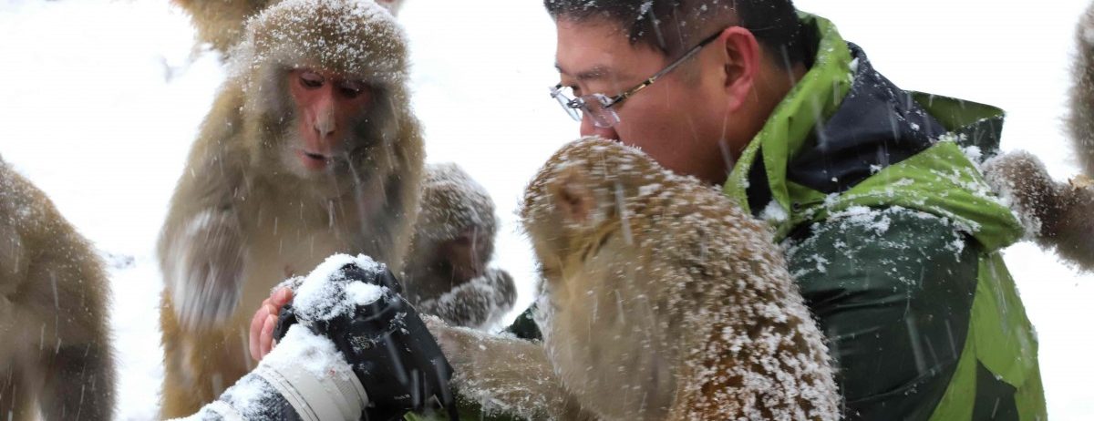 Unser Menschenbild rational betrachtet