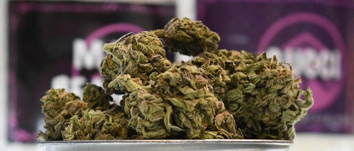 Cannabis soll in Frankreich straffrei werden