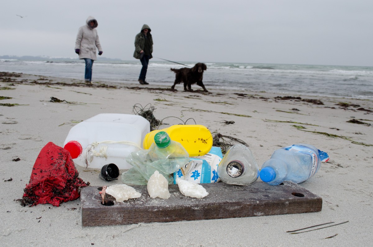 Mikroplastik verschmutzt nicht nur die Weltmeere